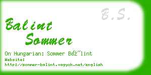 balint sommer business card